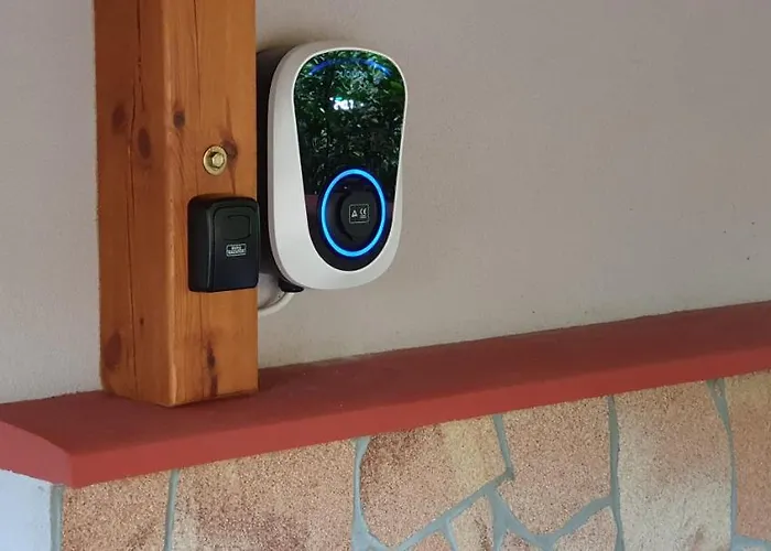 Kéknefelejcs Zalakaros